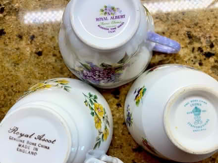 Photo of free Dainty bone china tea cups (Magnolia) #2