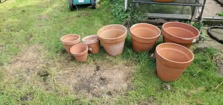 Photo of free Terracotta plant pots (Little Herberts GL53) #1