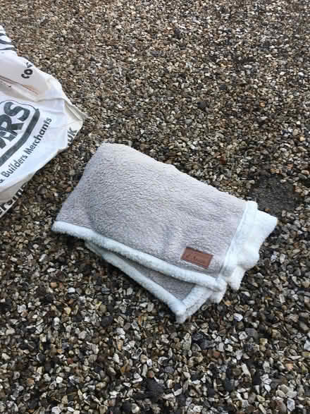Photo of free Dog bed and fleece blanket (Henfield BN5) #2