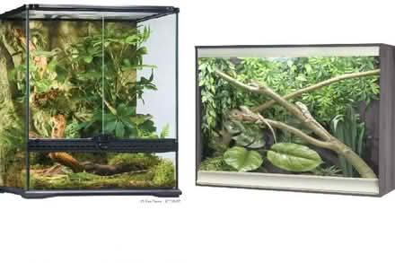 Photo of Vivariums/Terrariums Etc (Sherburn-in-Elmet LS25) #1