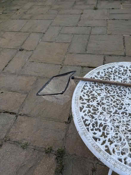 Photo of free Pond net (Brundall NR13) #2