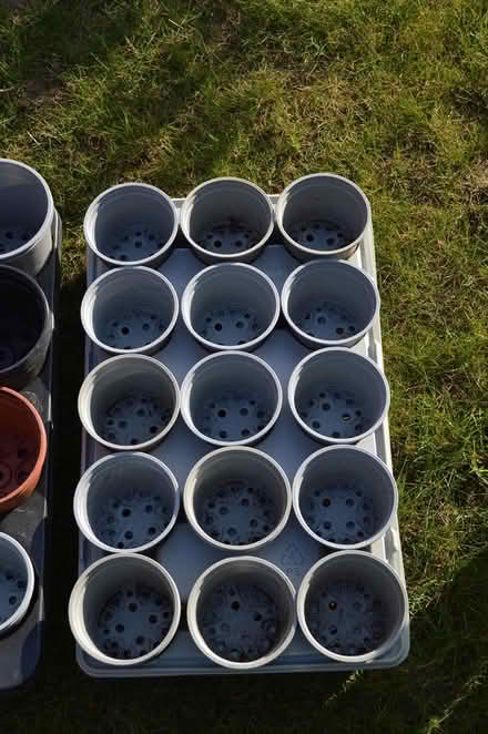 Photo of free Plants pots (wyberton) #2