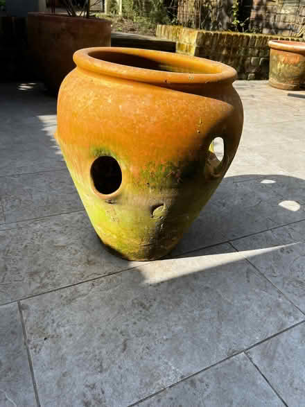 Photo of free Strawberry planter (Ravenscourt Park W6) #2