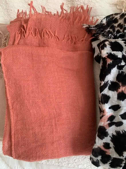 Photo of free Scarf (TW2) #3