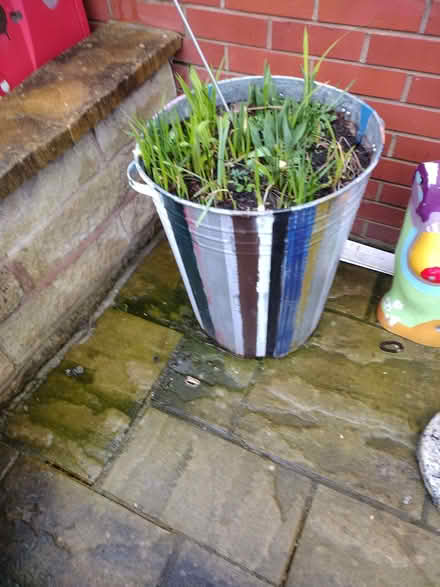 Photo of free Flower bins (High Green S35) #1