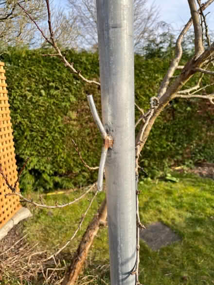 Photo of free 3m strong metal post (for washing line or similar) (Clungunford SY7) #1