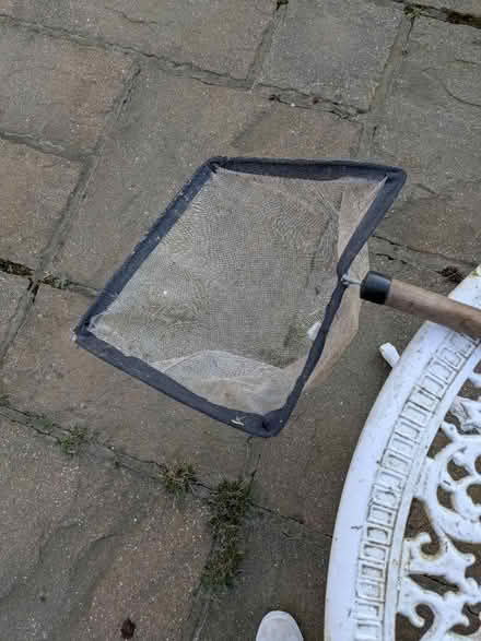 Photo of free Pond net (Brundall NR13) #1