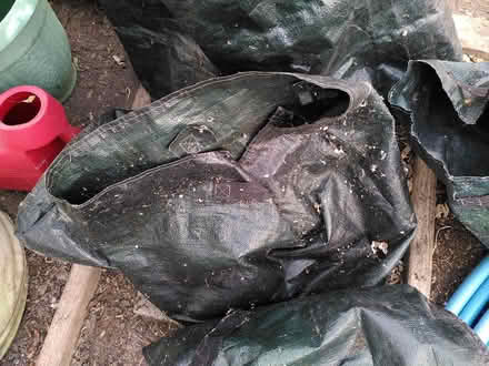 Photo of free Potato Growing Bags x 6 (Penarth CF64) #2