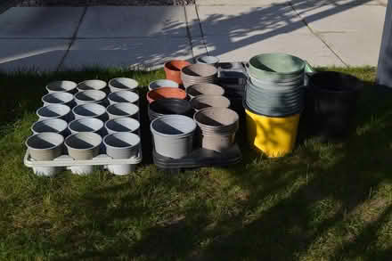 Photo of free Plants pots (wyberton) #3