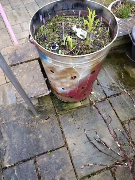 Photo of free Flower bins (High Green S35) #4