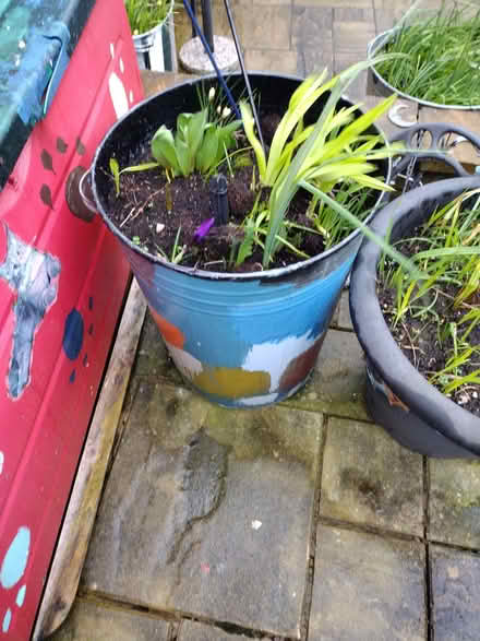 Photo of free Flower bins (High Green S35) #2
