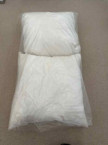 Photo of free 2 cushions (Port Hall BN1) #1