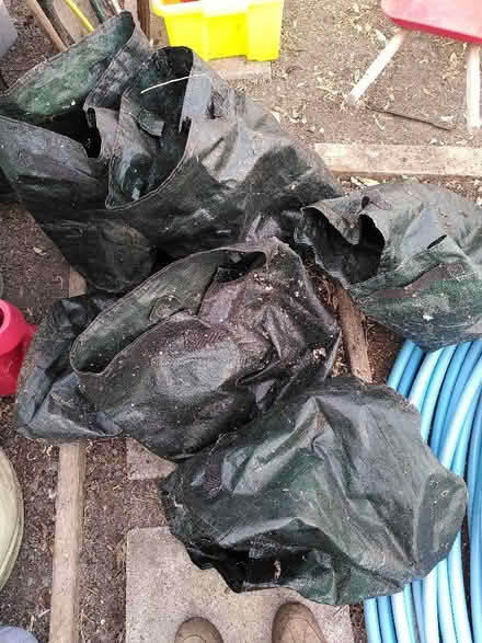 Photo of free Potato Growing Bags x 6 (Penarth CF64) #1