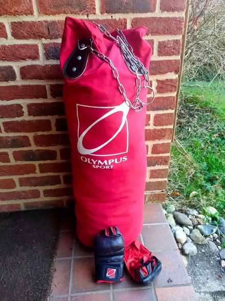 Photo of free Punch Bag (Surrey Heath GU24) #1