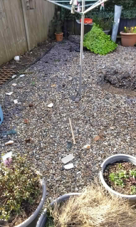 Photo of free Pea and grey Shingle (HP2 heme Hempstead) #2