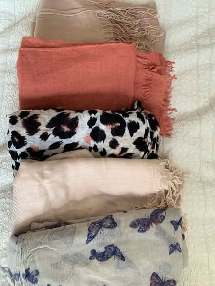 Photo of free Scarf (TW2) #1