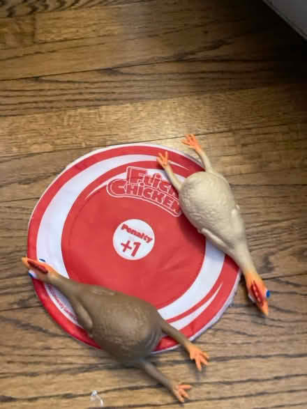Photo of free Rubber chicken target game (Loh Park in Tarrytown) #1