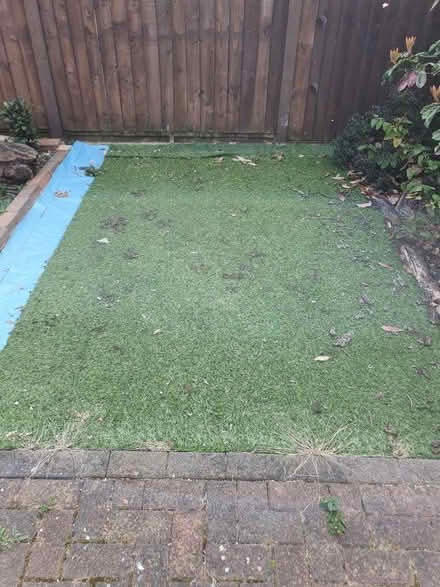 Photo of free Piece of astroturf (BS15) #1