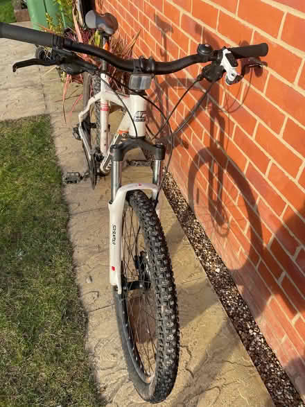 Photo of free Men’s Mountain Bike (Gosfield CO9) #3