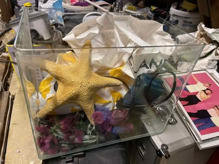 Photo of free Fish tank with bits and filter (Brighton BN2) #2