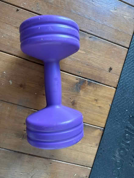 Photo of free Hand weight (Ditton ME20) #1