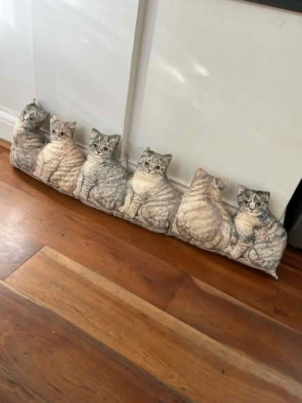 Photo of free Cat door stop wind stopper (TW7) #1