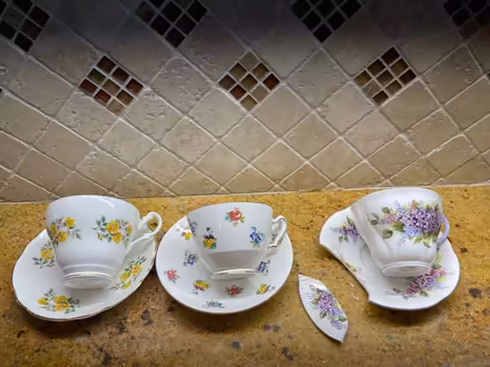Photo of free Dainty bone china tea cups (Magnolia) #1