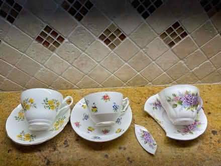 Photo of free Dainty bone china tea cups (Magnolia) #1