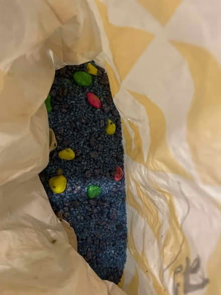 Photo of free Fish tank with bits and filter (Brighton BN2) #3