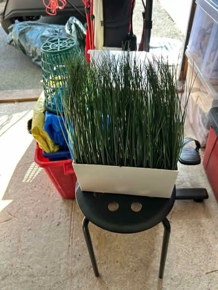 Photo of free artificial plant (Bardon LE67) #1