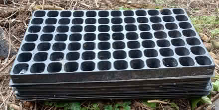 Photo of free Plug trays for seedlings (Westfield, Radstock) (Wells Road) #2