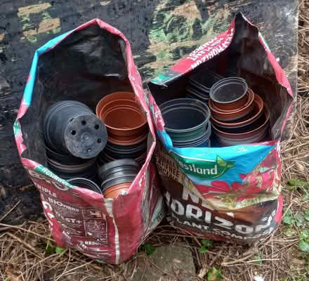 Photo of free Plant pots (Westfield, Radstock) (Wells Road) #1