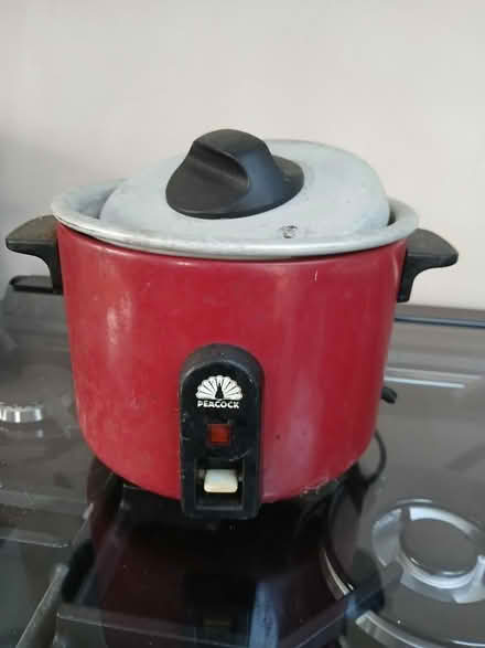 Photo of free Small rice cooker. (Odd Down) #1