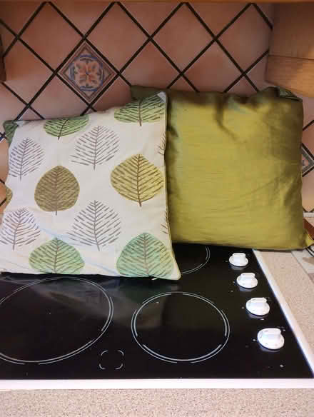 Photo of free Two cushions. (Freehold LA1) #1