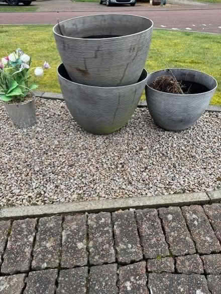 Photo of free plant pots (Rosewell EH24) #1