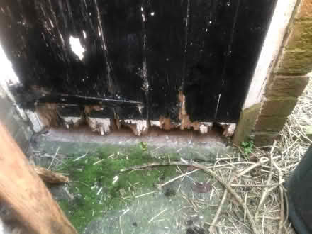 Photo of Wooden Shed Door 73 inch x 77 tall (Weston Estate LS21) #1
