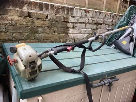 Photo of free Petrol strimmer (Aldrington BN3) #1