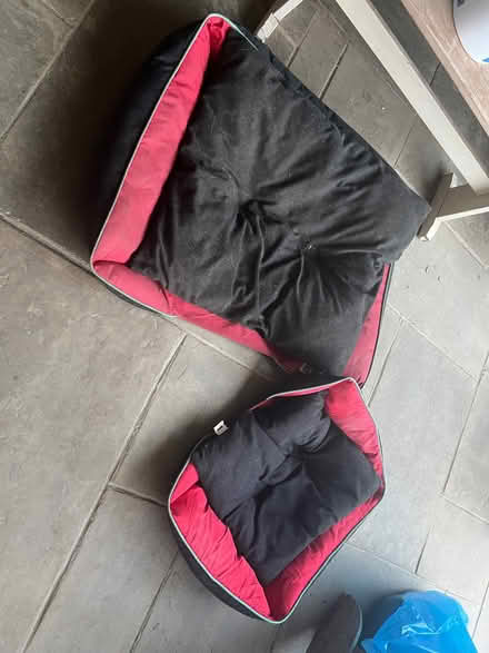 Photo of free Dog beds (Gardeners Green RG40) #1