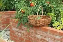Photo of Bricks (Whitehawk BN2) #1
