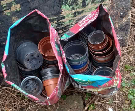 Photo of free Plant pots (Westfield, Radstock) (Wells Road) #2
