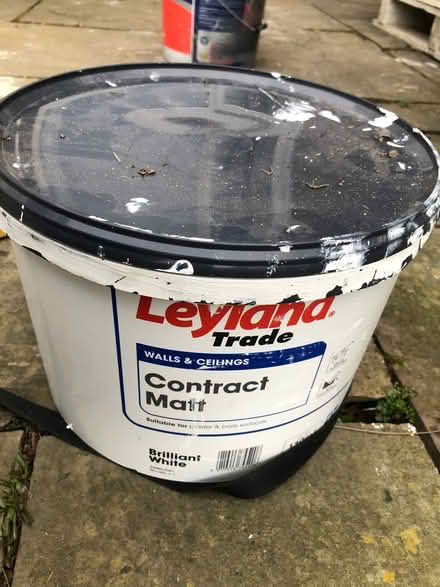 Photo of free White Matt paint (Newfield Green S14) #1