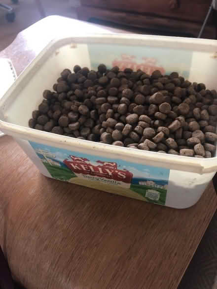 Photo of free James Wellbeloved dog food (King's Hedges Ward CB4) #1