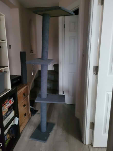 Photo of free Tall cat tree (Fort Pitt ME1) #1