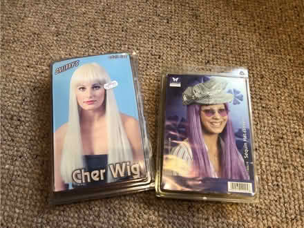 Photo of free Fancy dress wig & hat (Bodicote OX15) #1