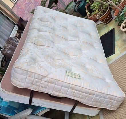 Photo of free Orthopedic bed (Portishead BS20) #1