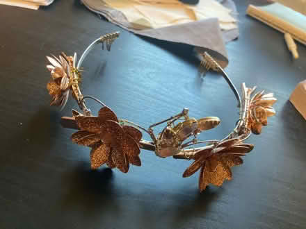 Photo of free Costume crown/headband (Silver Spring) #2
