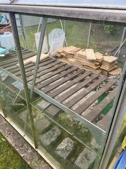 Photo of free Green house 2.6m x 1.9m (Chelsfield) #3