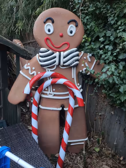 Photo of free 4 gingerbread men + candy canes (Teddington) #1