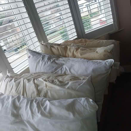 Photo of free 8 pillows - no splitting (Chelsfield BR6) #1