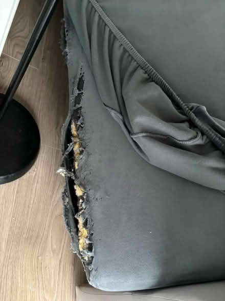 Photo of free Corner sofa bed (Greystones) #2